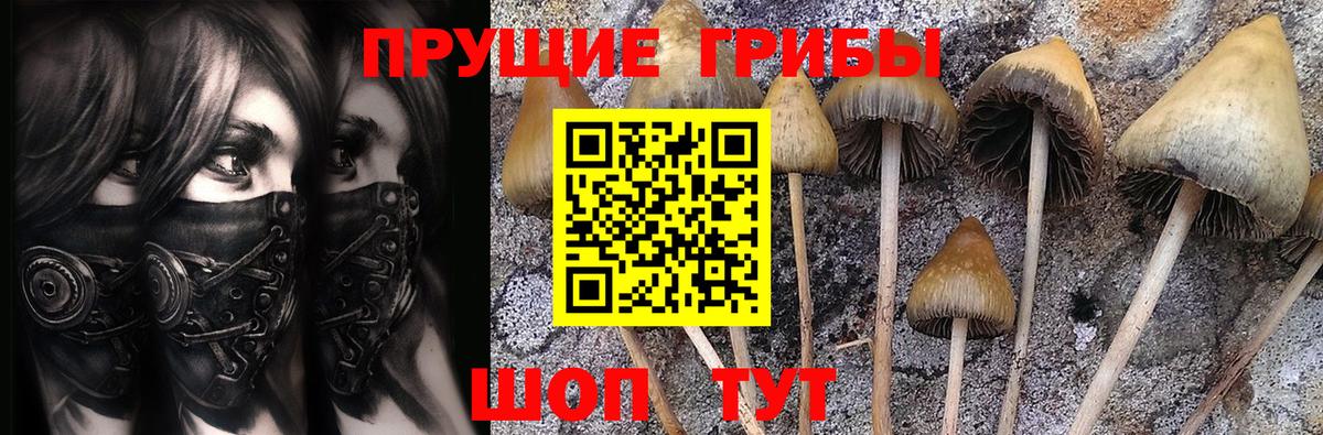 Галлюциногенные грибы прущие грибы Алапаевск