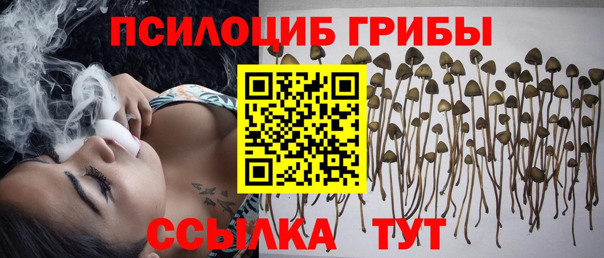 Галлюциногенные грибы прущие грибы  Галлюциногенные грибы мухоморы  Вход с VPN  Алапаевск 